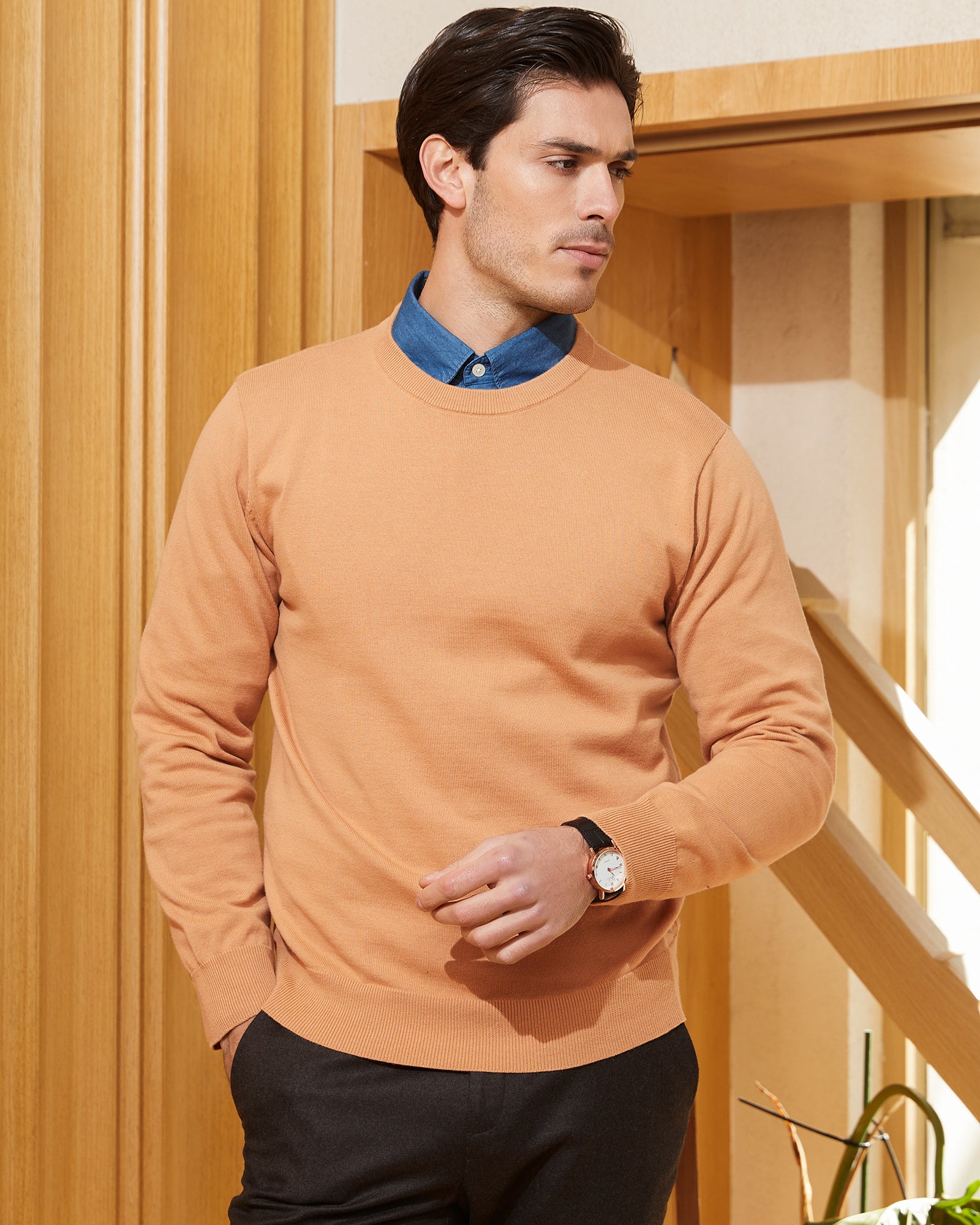 Kallspin Cotton Crewneck Pullover - Premium Men's Clothing