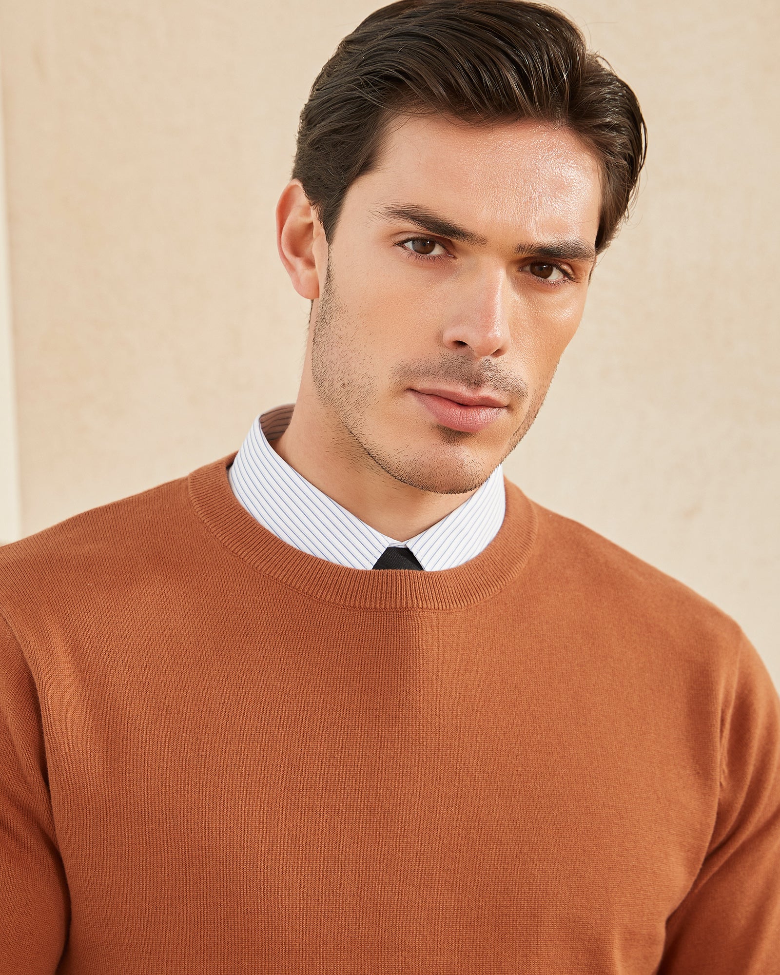 Kallspin Cotton Crewneck Pullover - Premium Men's Clothing
